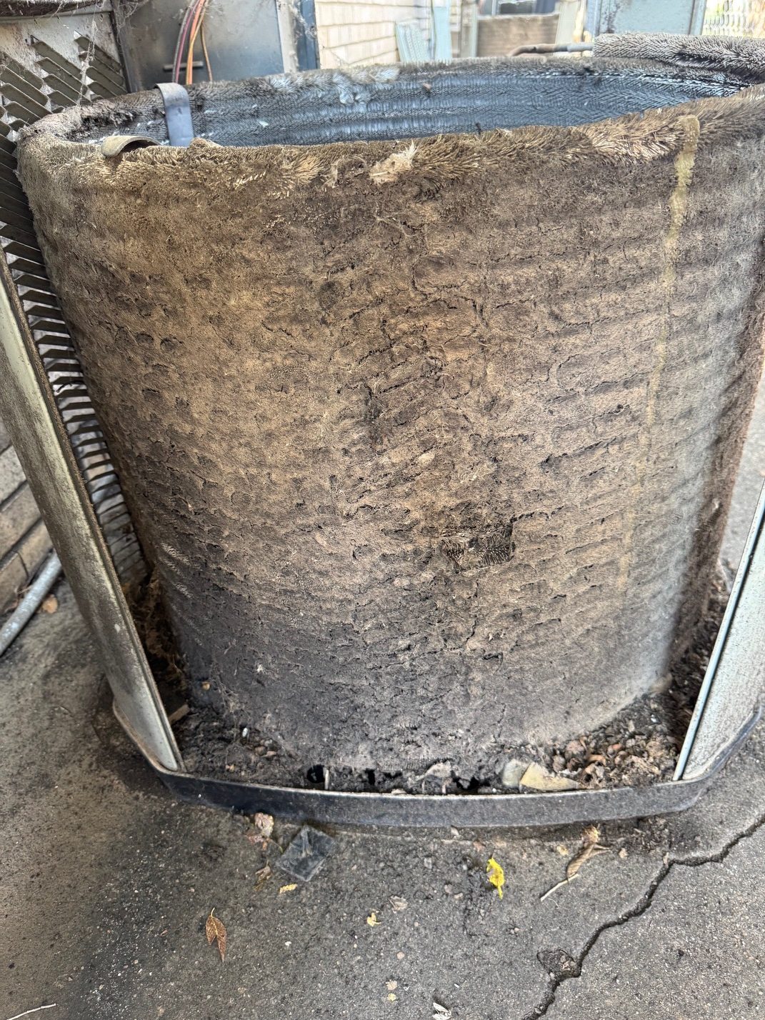 Image4
