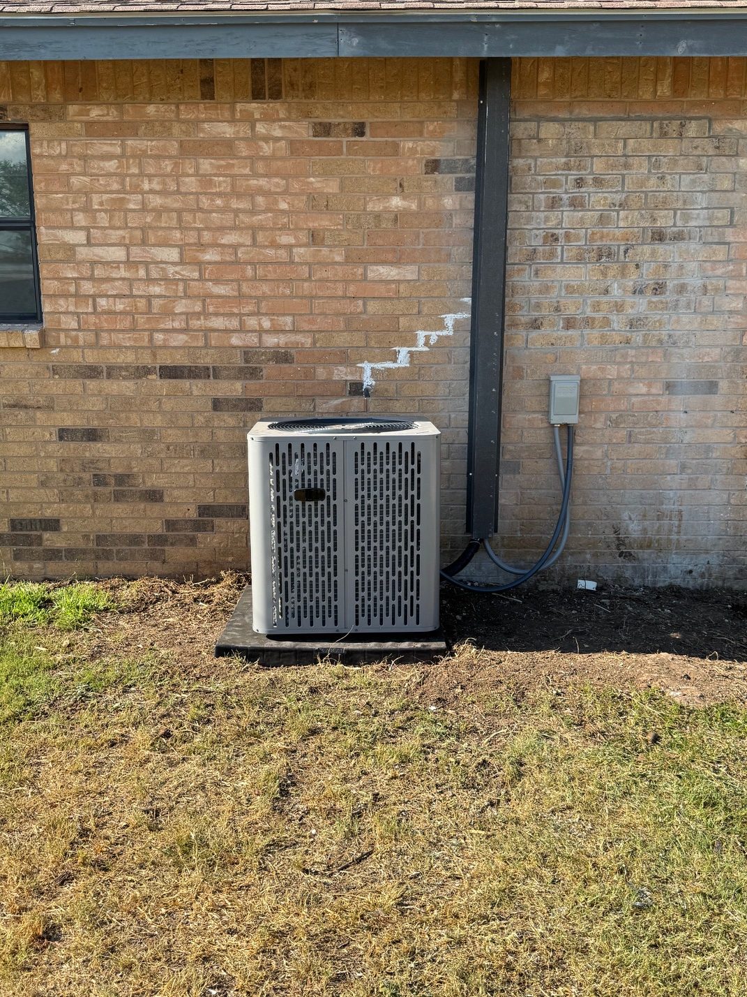 Image6